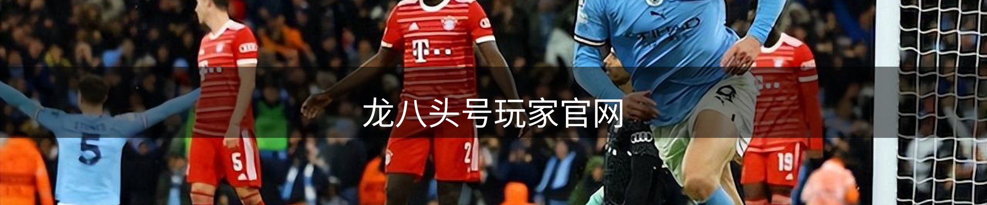 龙八头号玩家官网